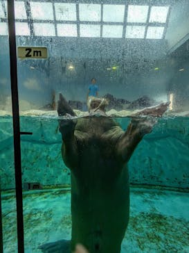 南知多ビーチランド＆南知多おもちゃ王国に投稿された画像（2023/8/14）