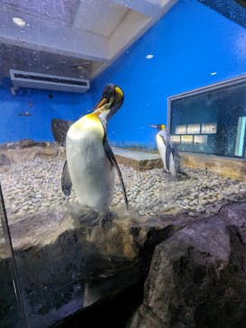 南知多ビーチランド＆南知多おもちゃ王国に投稿された画像（2023/8/14）