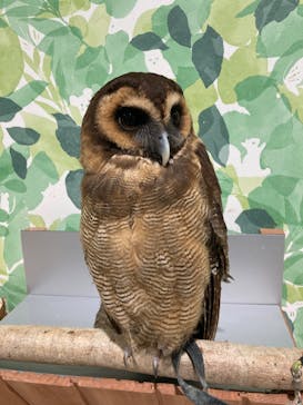 アニタッチアクアシティお台場に投稿された画像（2023/8/14）