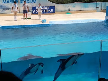 下田海中水族館に投稿された画像（2023/8/14）