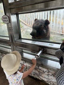 のぼりべつクマ牧場に投稿された画像（2023/8/14）