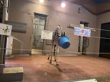 天王寺動物園に投稿された画像（2023/8/14）