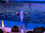 仙台うみの杜水族館に投稿された画像（2023/8/14）
