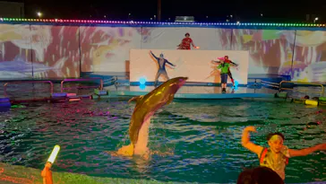 仙台うみの杜水族館に投稿された画像（2023/8/14）