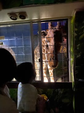 那須サファリパークに投稿された画像（2023/8/14）