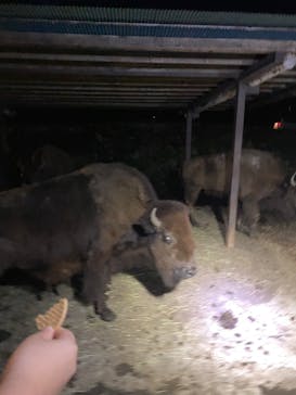 那須サファリパークに投稿された画像（2023/8/14）