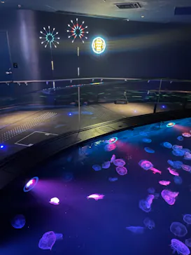 すみだ水族館に投稿された画像（2023/8/14）