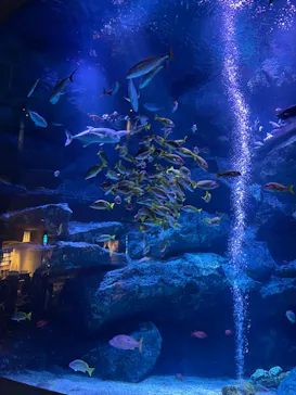 すみだ水族館に投稿された画像（2023/8/14）