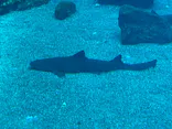 仙台うみの杜水族館に投稿された画像（2023/8/14）
