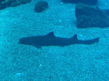 仙台うみの杜水族館に投稿された画像（2023/8/14）