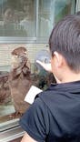 下田海中水族館に投稿された画像（2023/8/14）