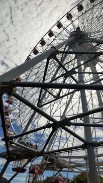 日本モンキーパークに投稿された画像（2023/8/14）