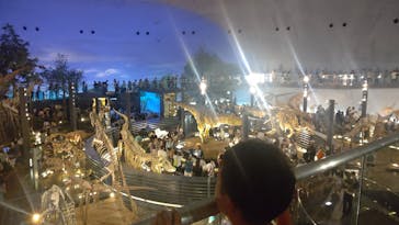 福井県立恐竜博物館に投稿された画像（2023/8/14）