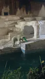 天王寺動物園に投稿された画像（2023/8/14）