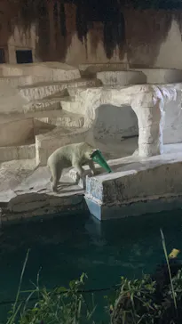 天王寺動物園に投稿された画像（2023/8/14）