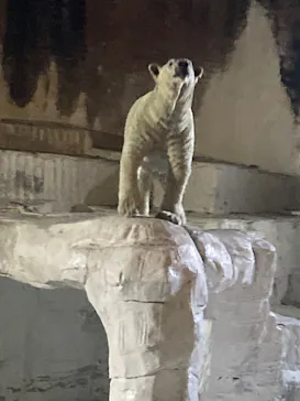 天王寺動物園に投稿された画像（2023/8/14）