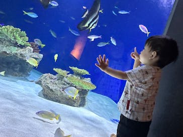 マリンワールド海の中道に投稿された画像（2023/8/14）