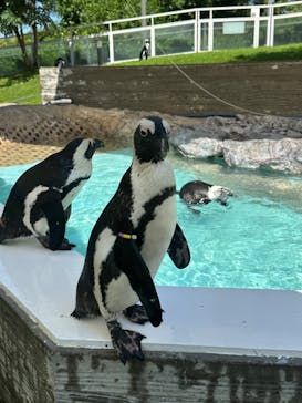 マリンワールド海の中道に投稿された画像（2023/8/14）