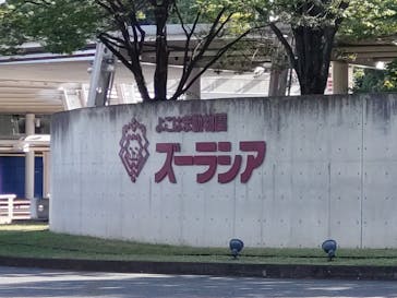 よこはま動物園ズーラシアに投稿された画像（2023/8/14）