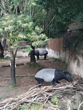 よこはま動物園ズーラシアに投稿された画像（2023/8/14）