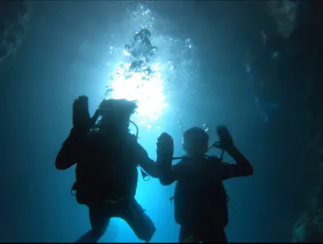 武藤潜水に投稿された画像（2023/8/14）