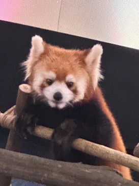 横浜・八景島シーパラダイスに投稿された画像（2023/8/14）