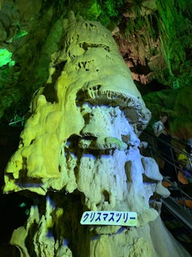 あぶくま洞に投稿された画像（2023/8/14）