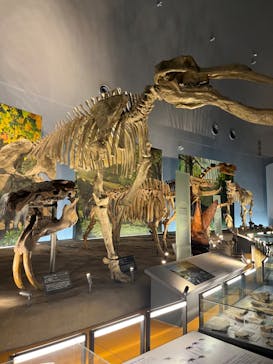 福井県立恐竜博物館に投稿された画像（2023/8/14）