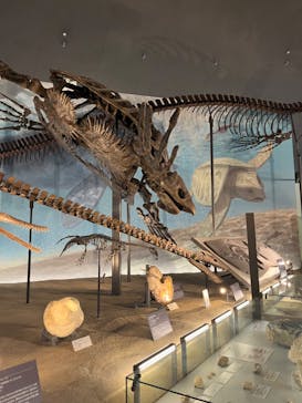 福井県立恐竜博物館に投稿された画像（2023/8/14）