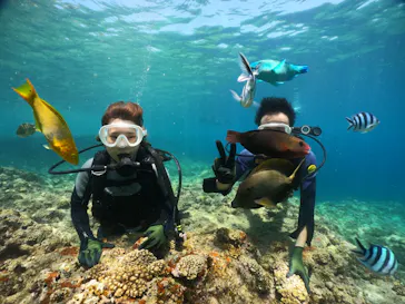 武藤潜水に投稿された画像（2023/8/14）