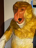 よこはま動物園ズーラシアに投稿された画像（2023/8/14）