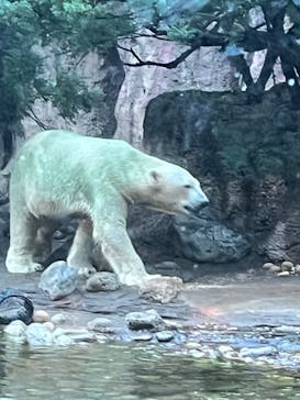 よこはま動物園ズーラシアに投稿された画像（2023/8/14）