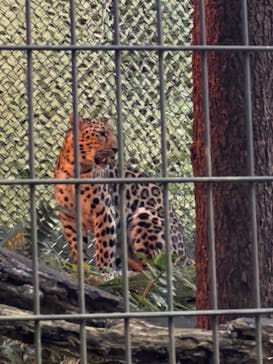 よこはま動物園ズーラシアに投稿された画像（2023/8/14）