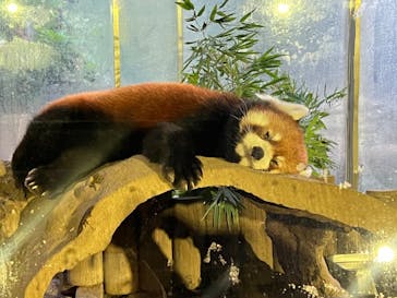 よこはま動物園ズーラシアに投稿された画像（2023/8/14）