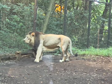 よこはま動物園ズーラシアに投稿された画像（2023/8/14）