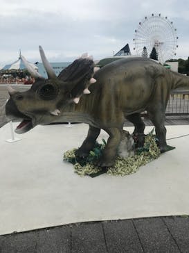 淡路ワールドパークONOKOROに投稿された画像（2023/8/14）