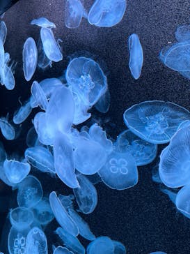 AOAO SAPPOROに投稿された画像（2023/8/14）