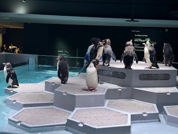 AOAO SAPPOROに投稿された画像（2023/8/14）