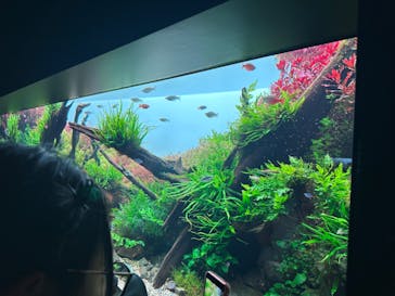 AOAO SAPPOROに投稿された画像（2023/8/14）