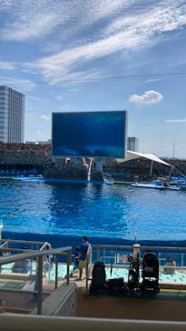 名古屋港水族館に投稿された画像（2023/8/14）