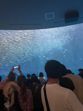 名古屋港水族館に投稿された画像（2023/8/14）