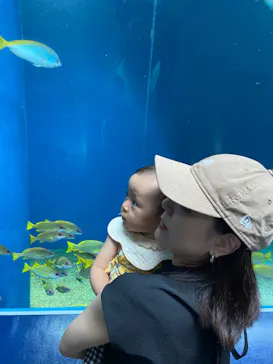 マクセル アクアパーク品川に投稿された画像（2023/8/14）