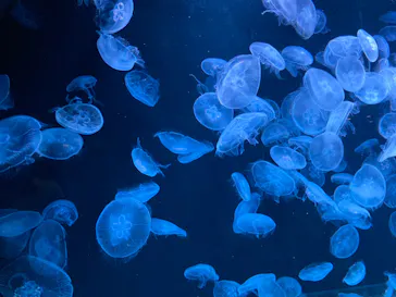 AOAO SAPPOROに投稿された画像（2023/8/14）