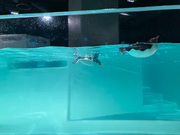 AOAO SAPPOROに投稿された画像（2023/8/14）