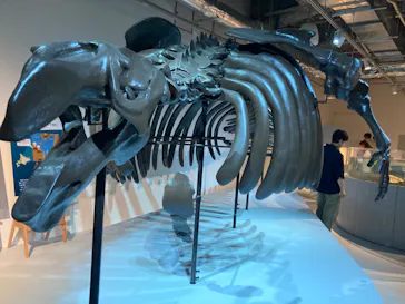 AOAO SAPPOROに投稿された画像（2023/8/14）