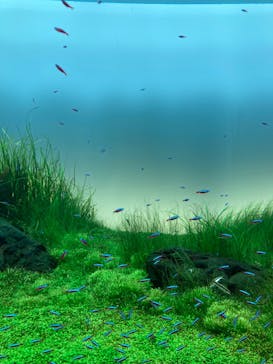 AOAO SAPPOROに投稿された画像（2023/8/14）