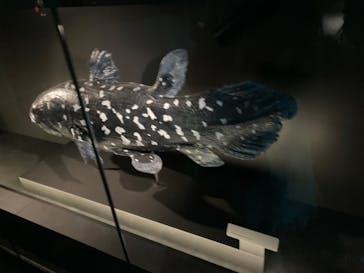 AOAO SAPPOROに投稿された画像（2023/8/14）