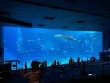 沖縄美ら海水族館に投稿された画像（2023/8/14）