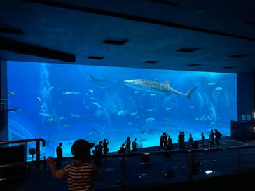 沖縄美ら海水族館に投稿された画像（2023/8/14）