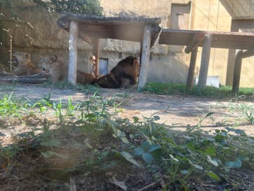 東武動物公園に投稿された画像（2023/8/13）